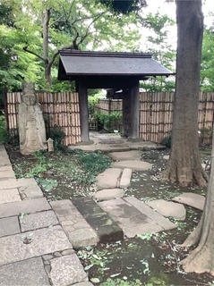 22604DAE-EBAA-4C67-BDA3-4534795F3468.jpeg