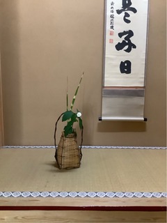 77842919-D141-4F05-BB69-BEF4D84E0751.jpeg